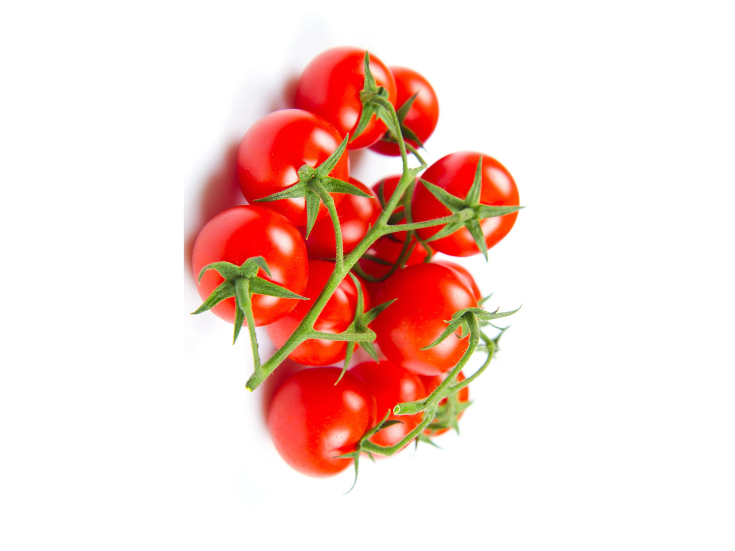 Cherry Tomato