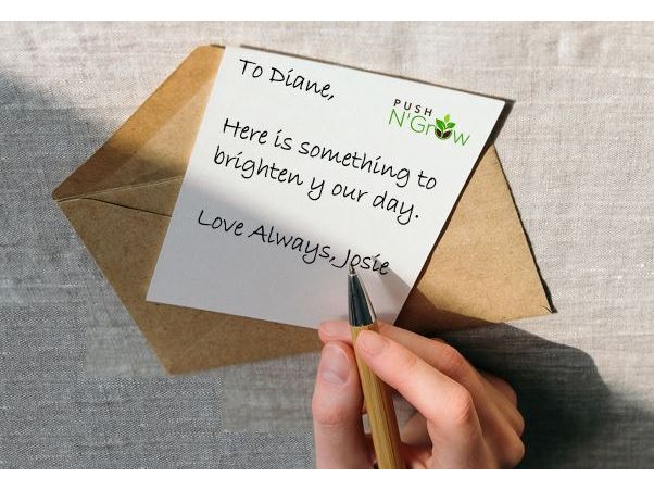 Gift Wrap Your Entire Order & Personal Note