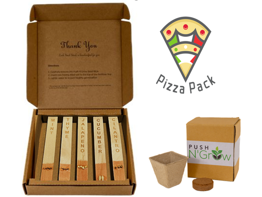 Fertilized pizza stick with seeds in the correct direction and depth