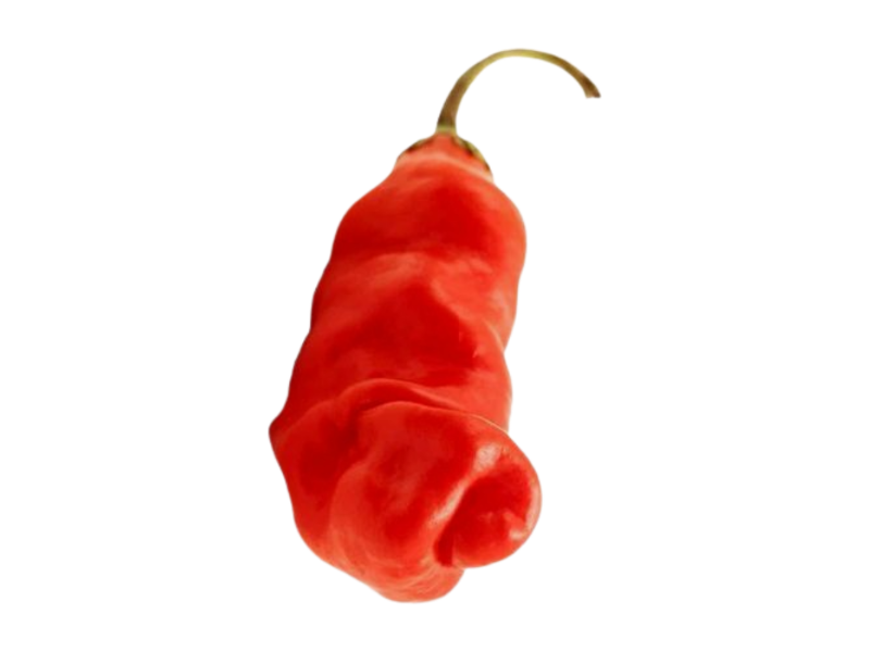 Peter Pepper (Extreme Hot)