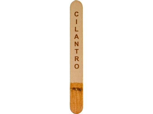 Cilantro Seed Sticks