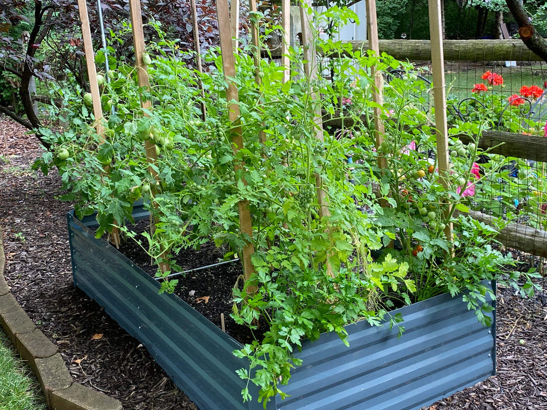 Raised Garden Beds - Pro's & Con's