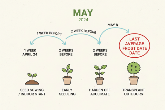 When to Start Seeds Indoors (Simple Timing Guide for Beginners)