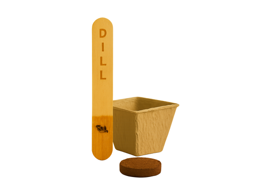 Dill