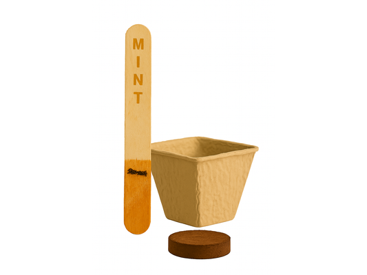 Mint