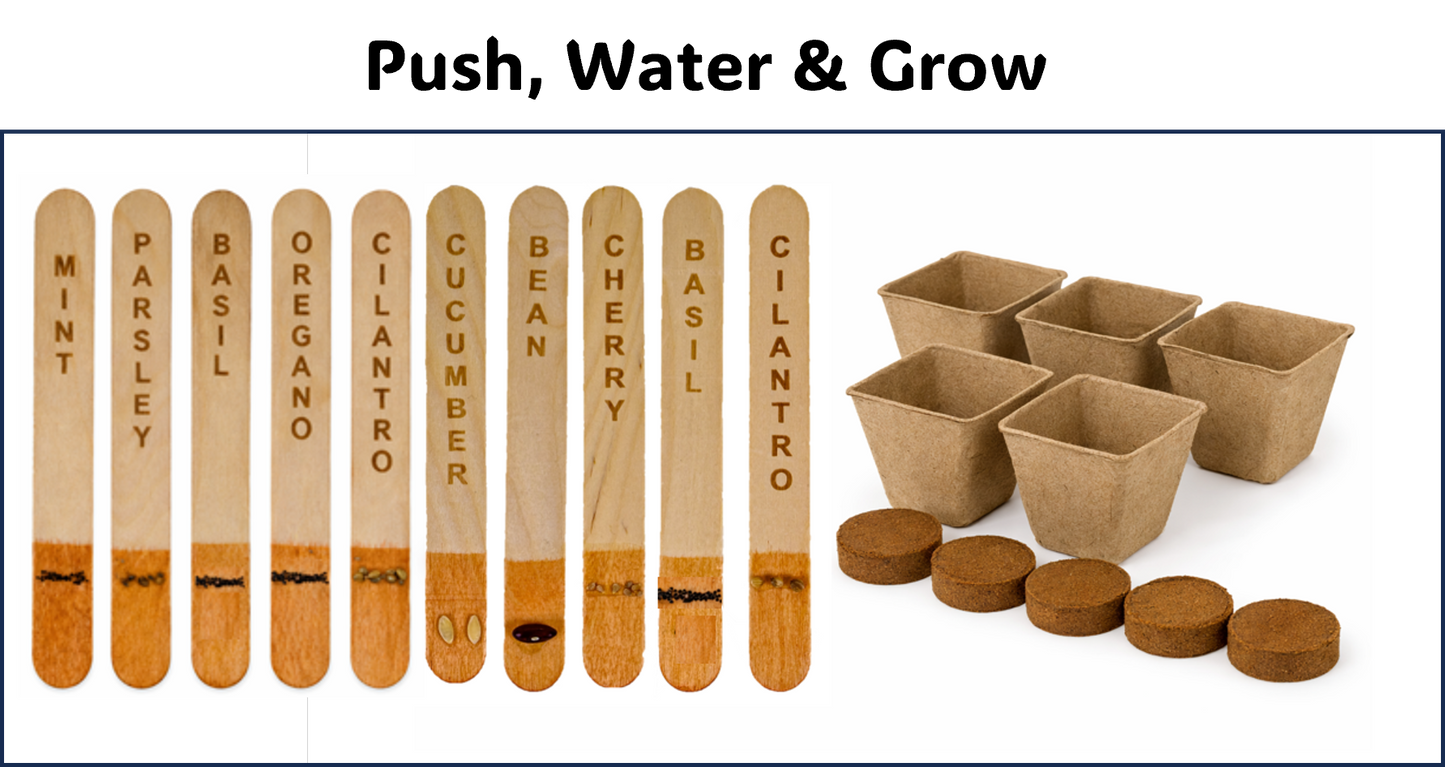 Starter Garden Kit