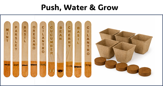 Starter Garden Kit