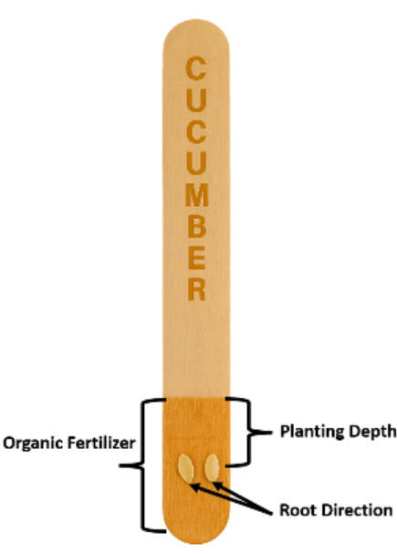Starter Garden Kit