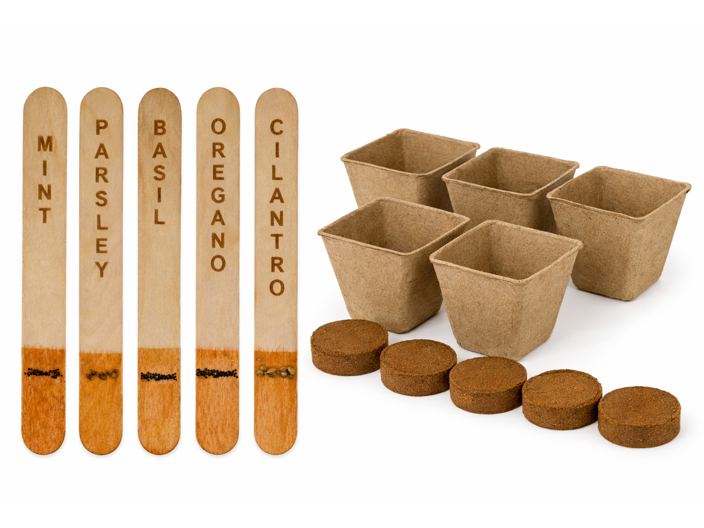 Herb Starter Kit