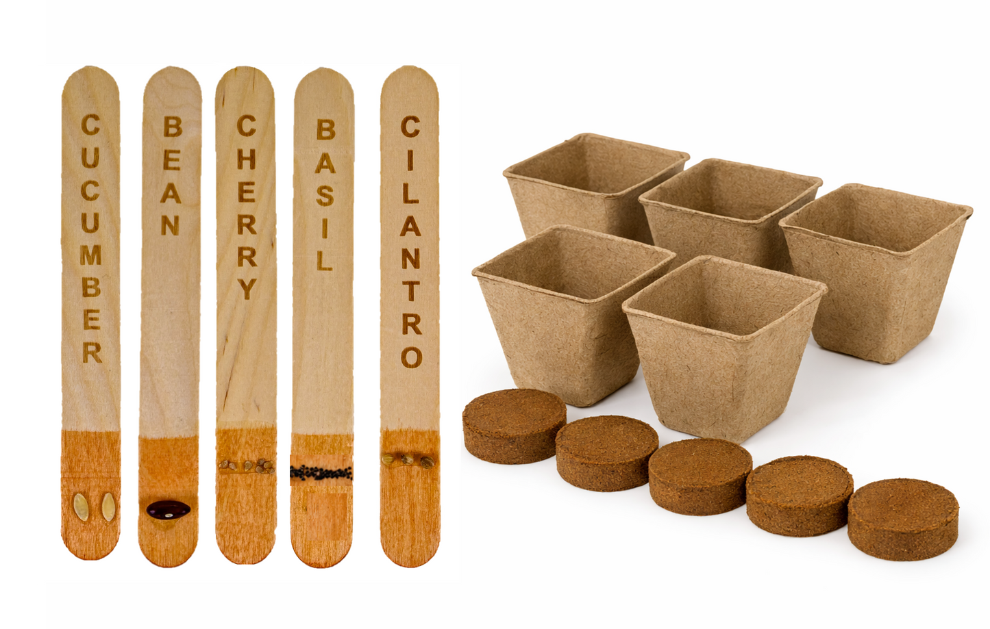 Starter Garden Kit