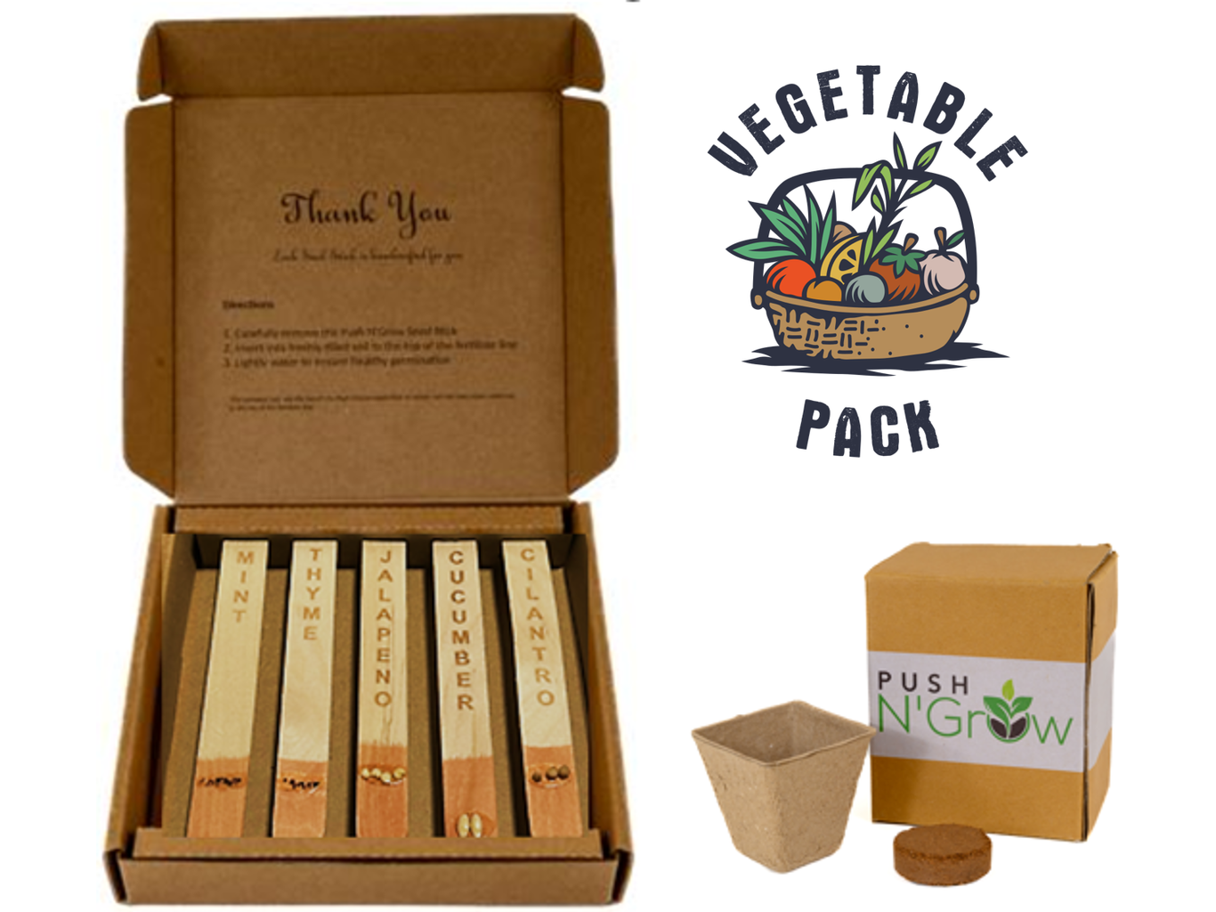 fertilized vegetable seed stick in a box