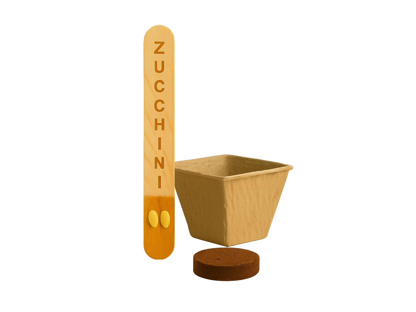 Zucchini
