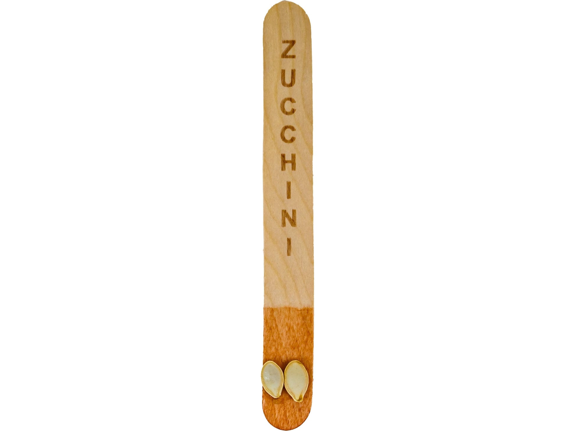 Zucchini Seed Stick